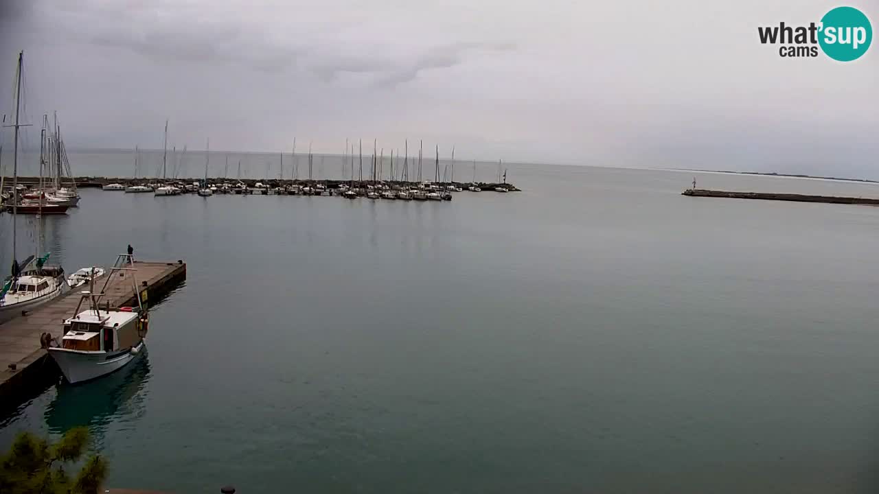 Webcam Sistiana – Marina and Bay Live View
