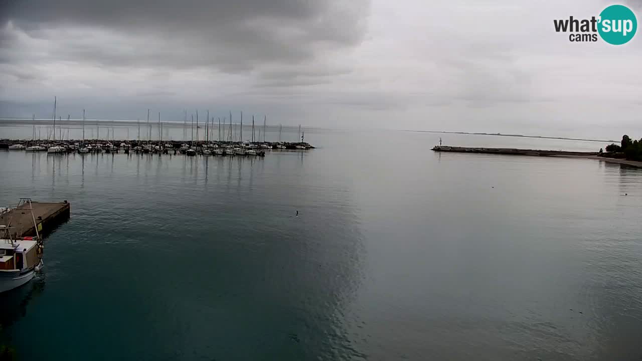 Webcam Sistiana – Marina and Bay Live View
