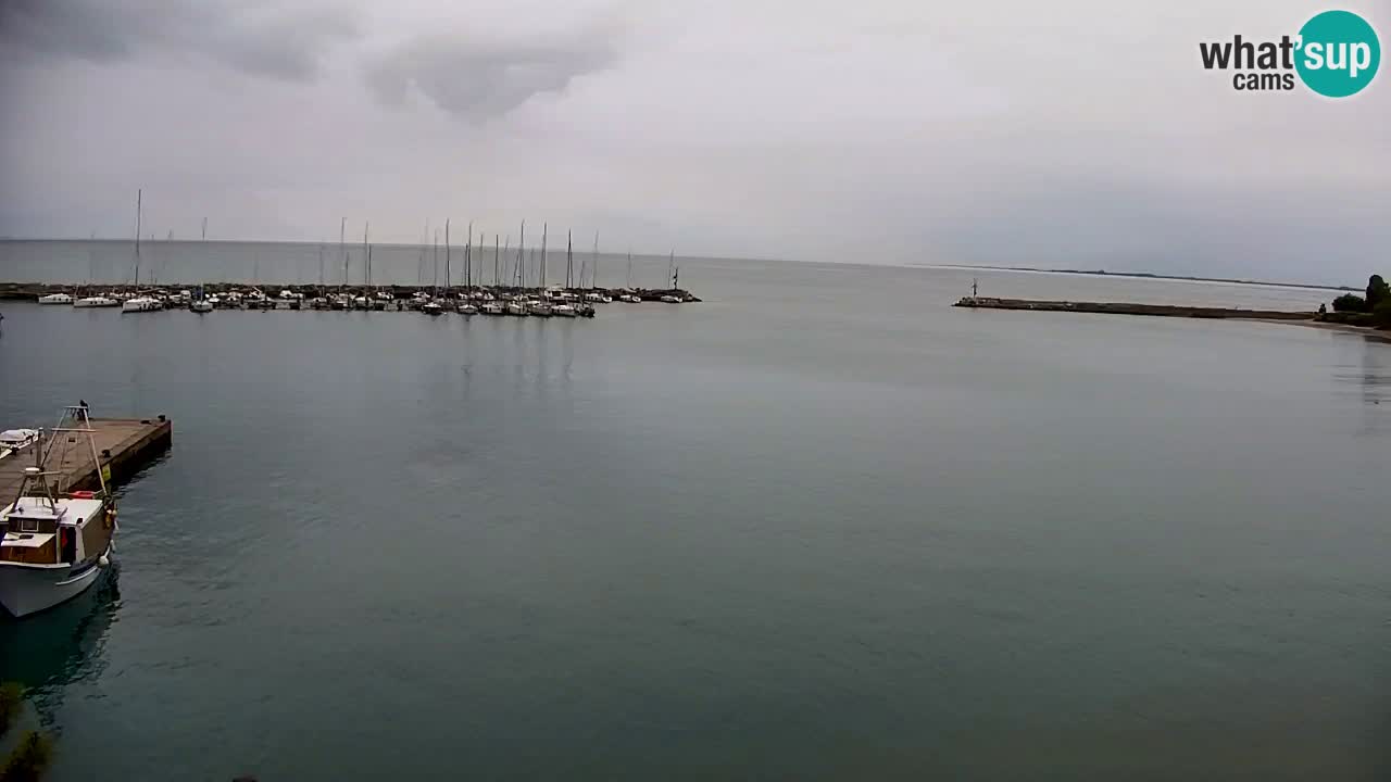 Webcam Sistiana – Pogled na marinu i zaljev
