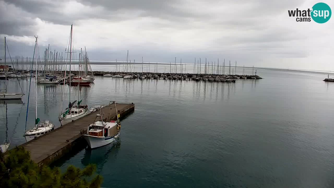 Webcam Sistiana – Marina and Bay Live View