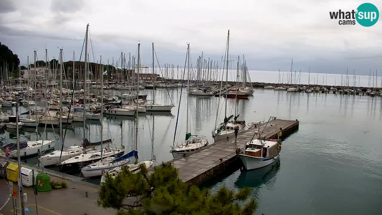 Webcam Sistiana – Marina and Bay Live View