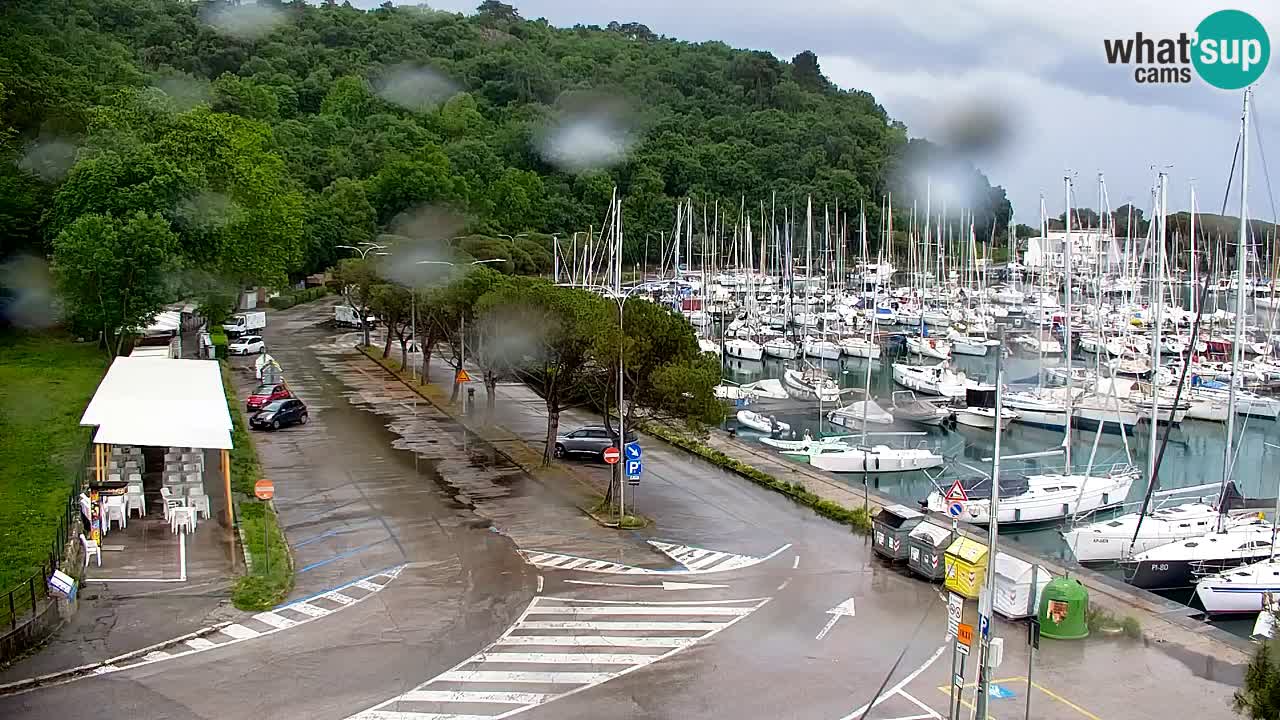 Spletna kamera Sesljan (Sistiana) – Pogled na marino in zaliv