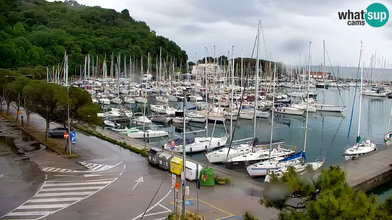 Webcam Sistiana – Marina and Bay Live View