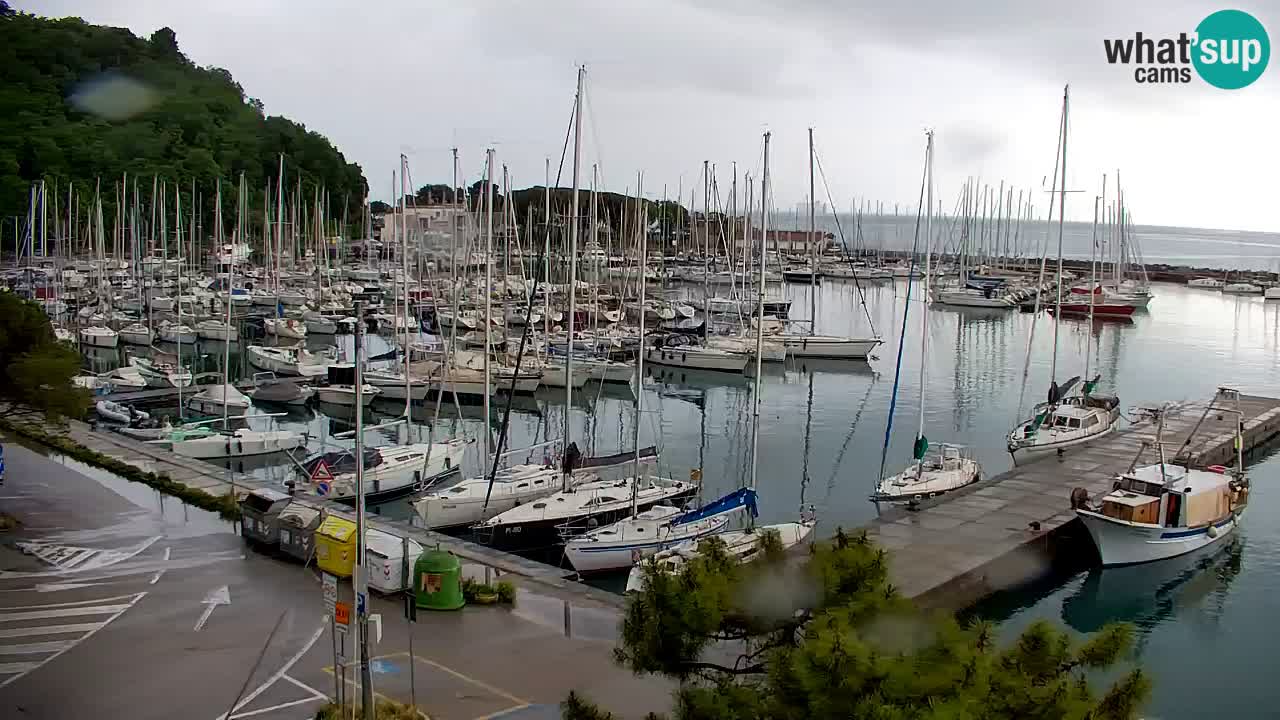 Webcam Sistiana – Vista sulla marina e sulla baia