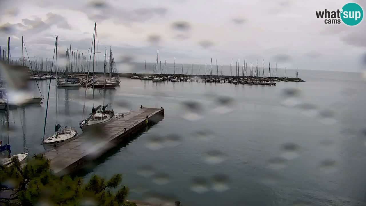 Webcam Sistiana – Vista sulla marina e sulla baia