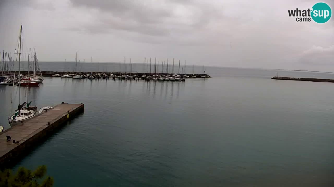 Webcam Sistiana – Blick auf Marina und Bucht