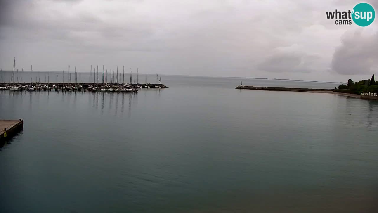 Webcam Sistiana – Vista sobre la marina y la bahía