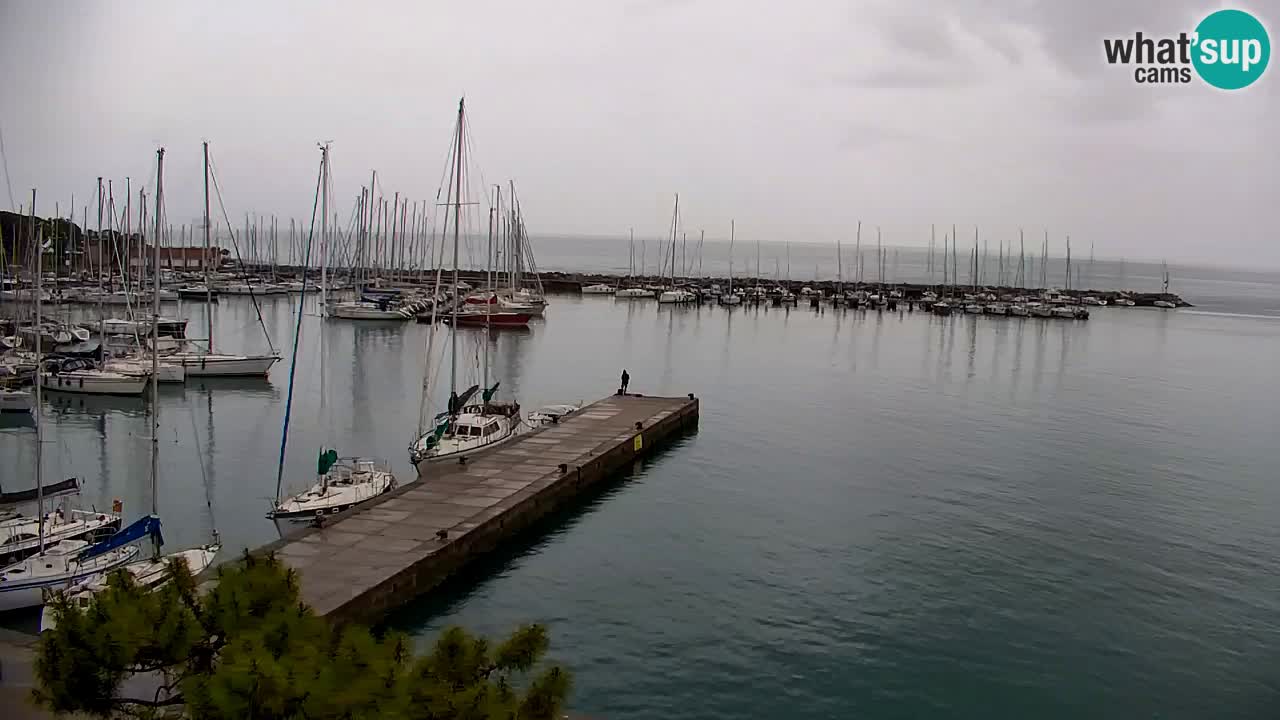Webcam Sistiana – Blick auf Marina und Bucht