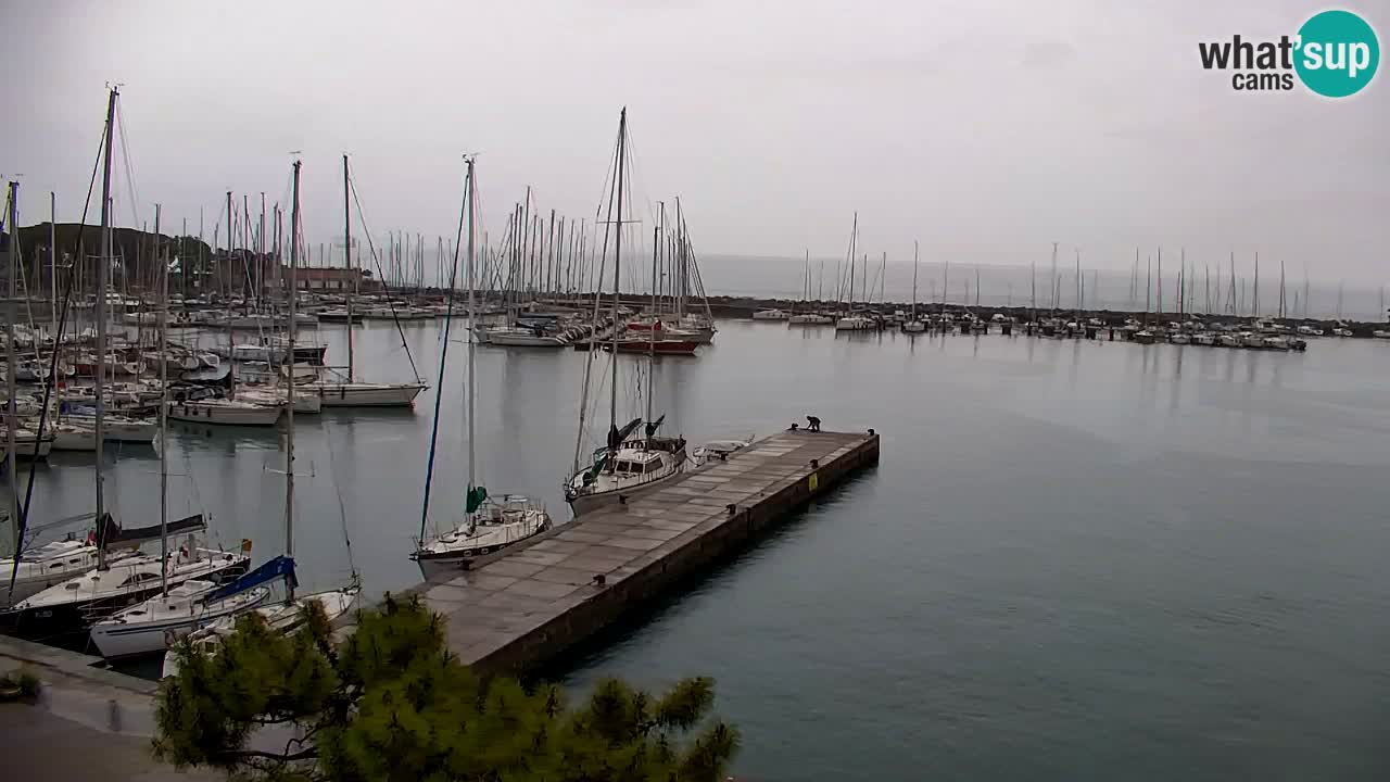 Webcam Sistiana – Pogled na marinu i zaljev
