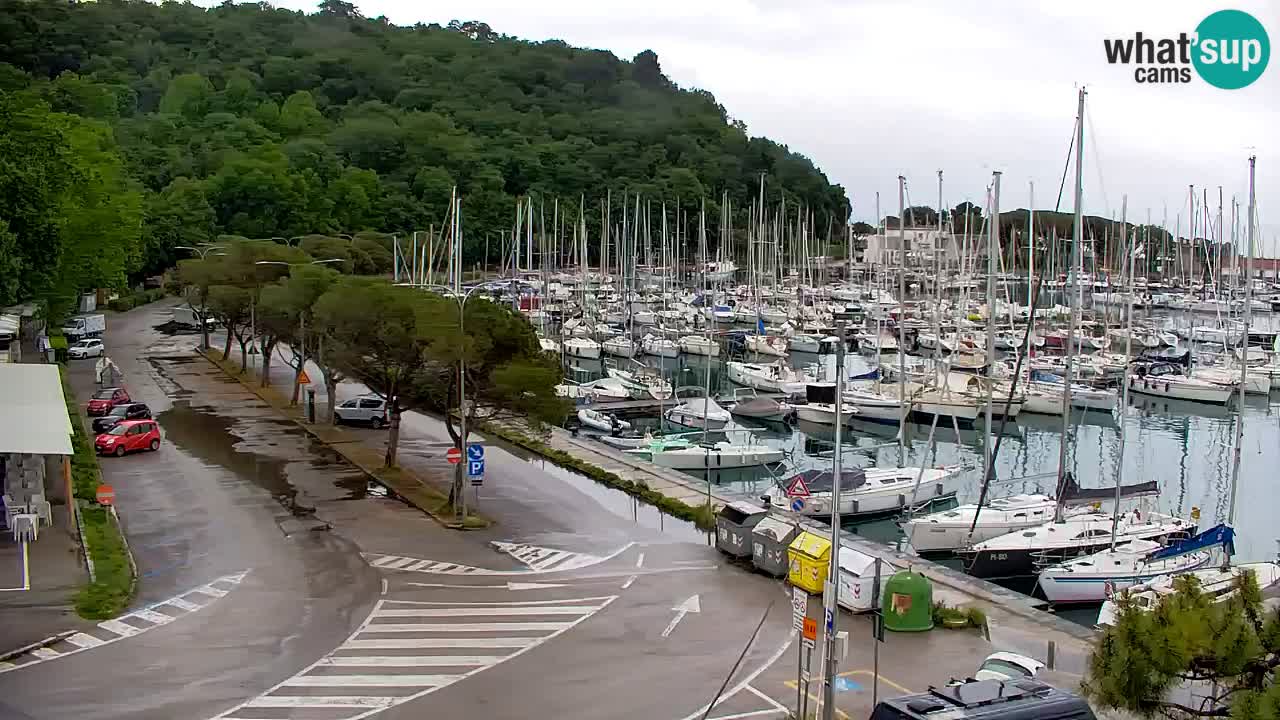 Webcam Sistiana – Marina and Bay Live View