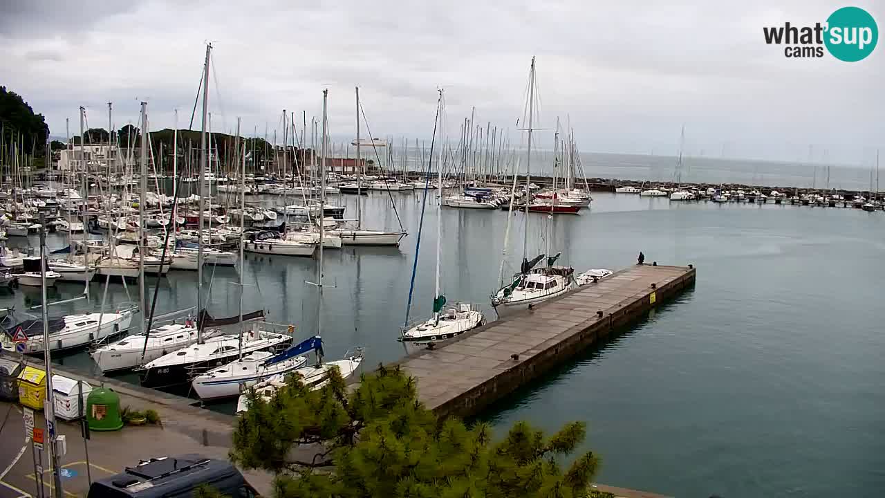 Webcam Sistiana – Pogled na marinu i zaljev