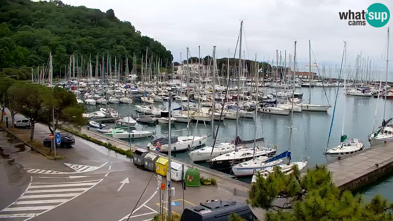 Webcam Sistiana – Marina and Bay Live View