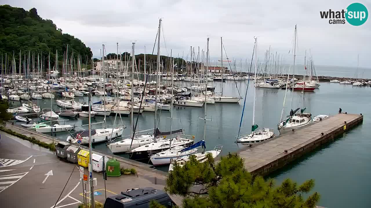 Webcam Sistiana – Vista sulla marina e sulla baia