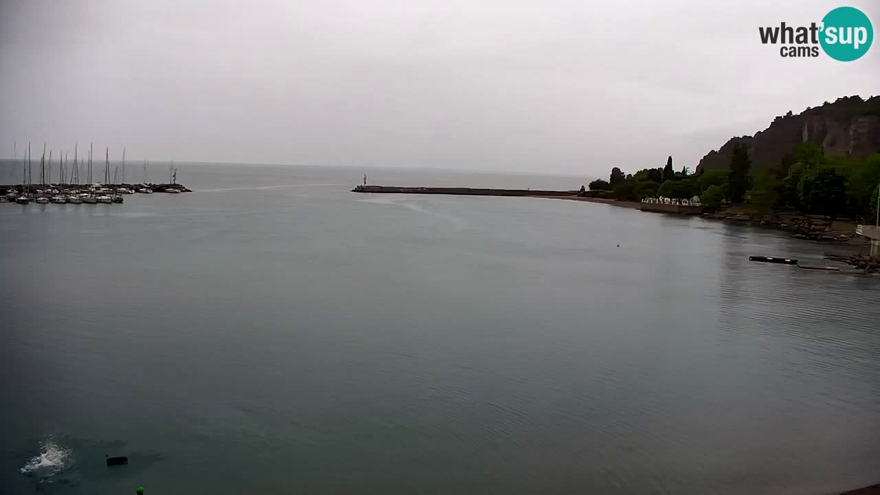 Webcam Sistiana – Marina and Bay Live View