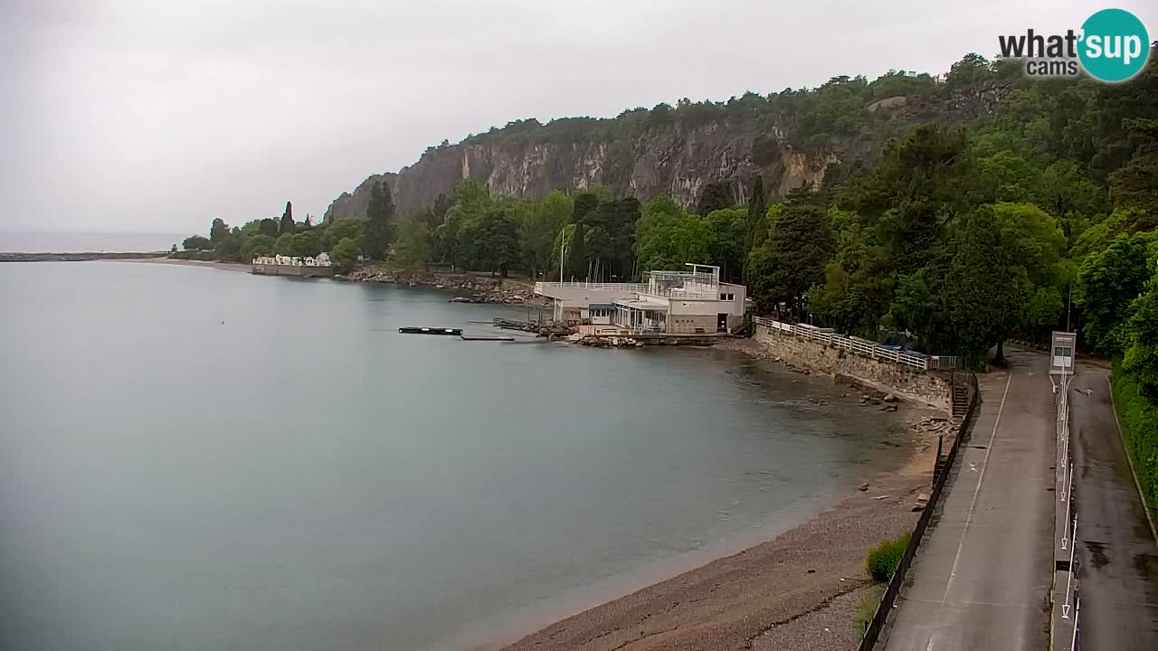 Webcam Sistiana – Pogled na marinu i zaljev