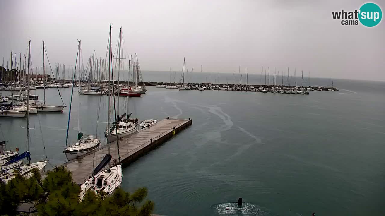Webcam Sistiana – Vista sulla marina e sulla baia