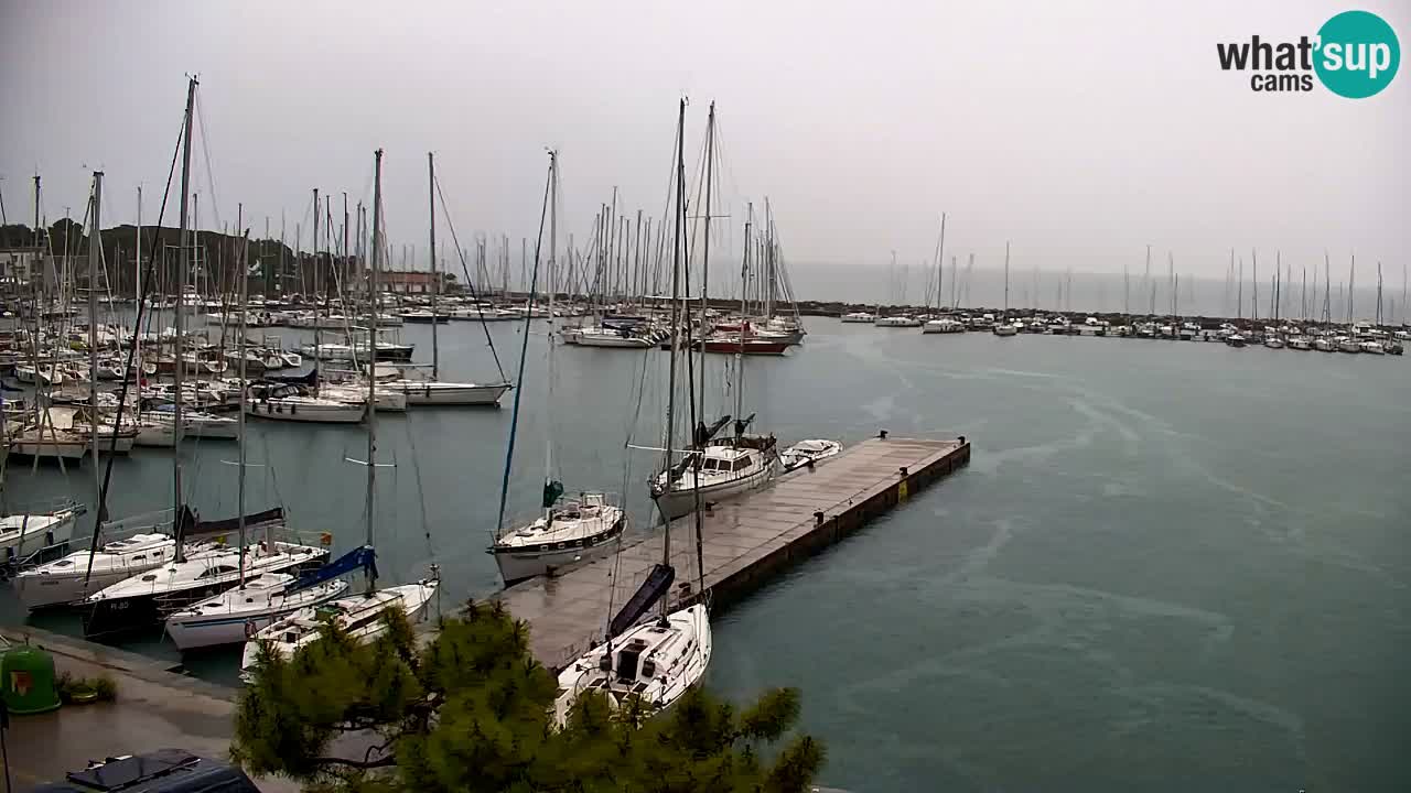 Webcam Sistiana – Blick auf Marina und Bucht