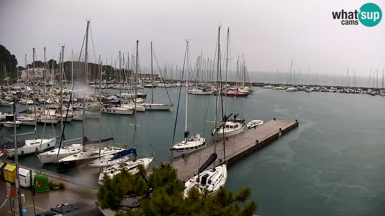 Webcam Sistiana – Marina and Bay Live View
