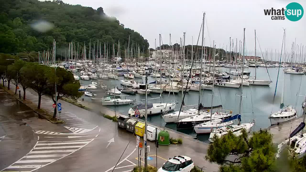 Webcam Sistiana – Blick auf Marina und Bucht