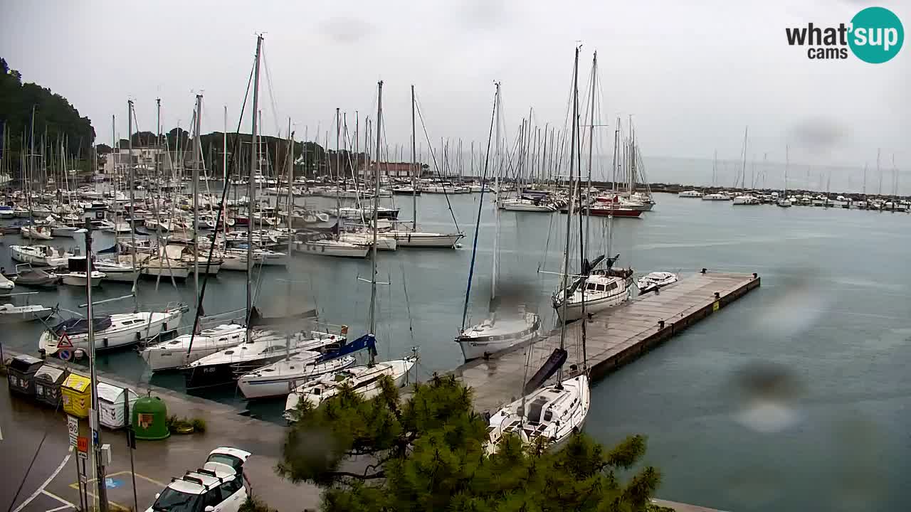 Webcam Sistiana – Vista sulla marina e sulla baia