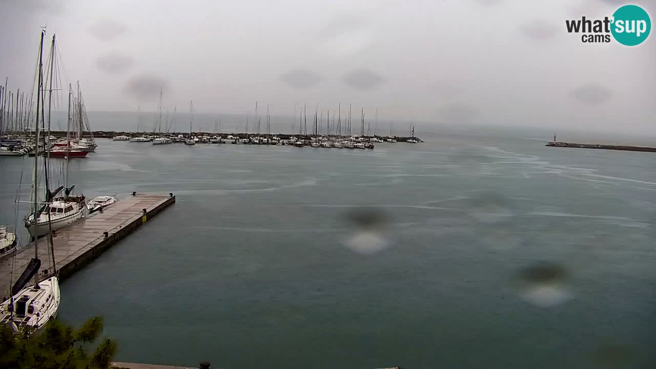 Webcam Sistiana – Pogled na marinu i zaljev