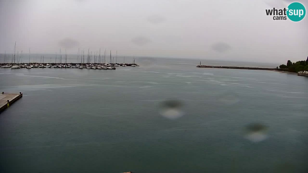 Spletna kamera Sesljan (Sistiana) – Pogled na marino in zaliv