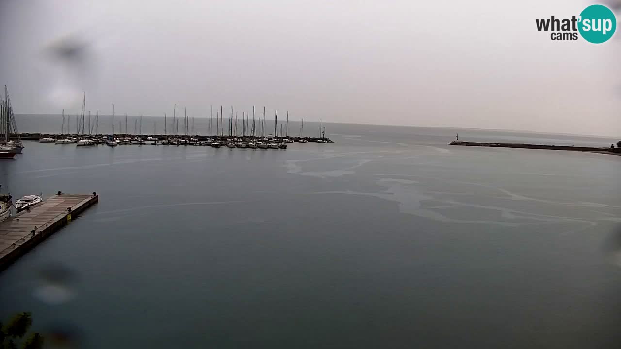 Webcam Sistiana – Marina and Bay Live View