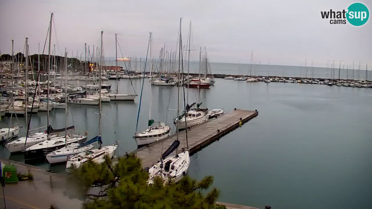 Spletna kamera Sesljan (Sistiana) – Pogled na marino in zaliv