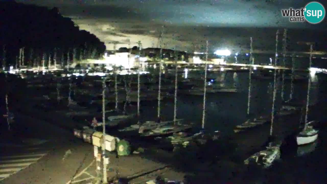 Webcam Sistiana – Marina and Bay Live View