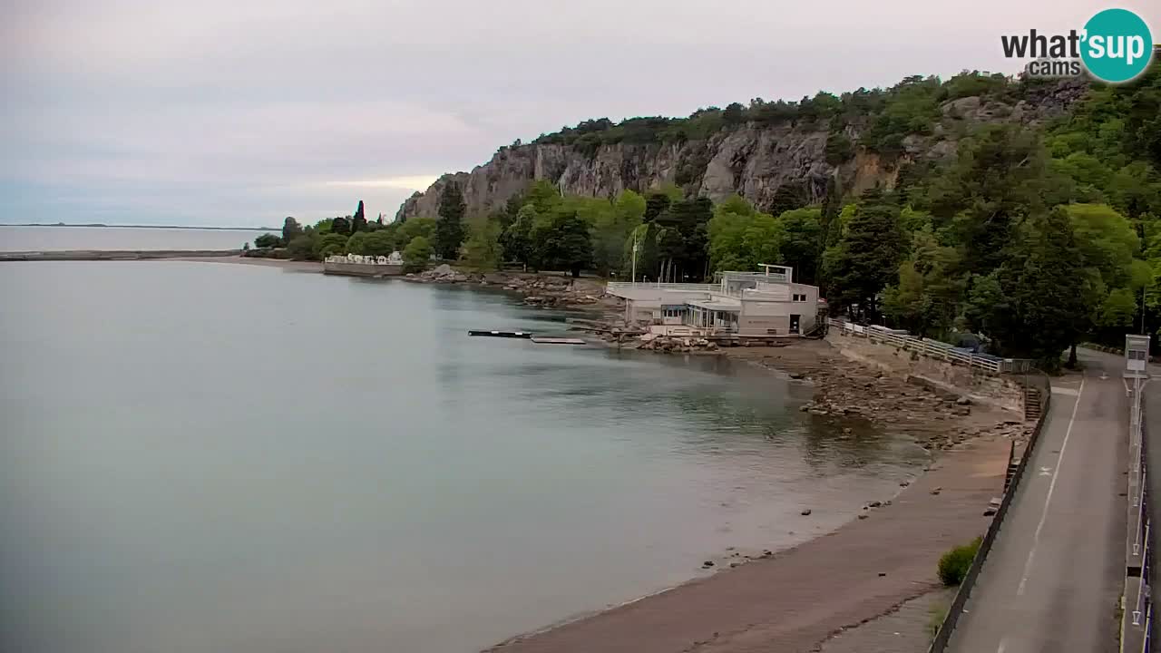 Spletna kamera Sesljan (Sistiana) – Pogled na marino in zaliv