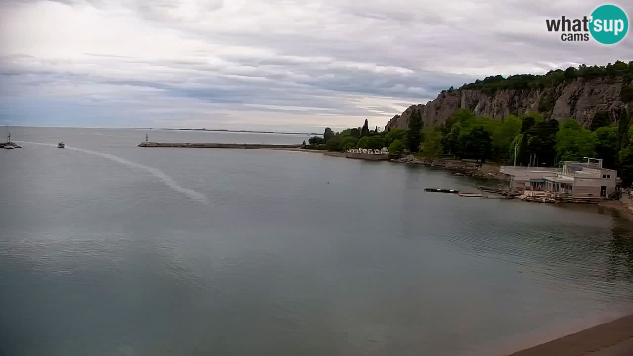 Webcam Sistiana – Vista sobre la marina y la bahía