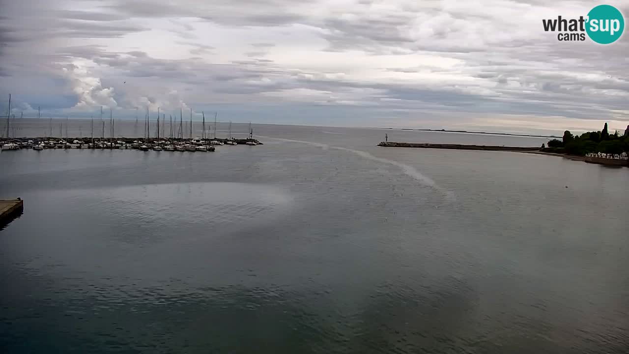 Webcam Sistiana – Blick auf Marina und Bucht