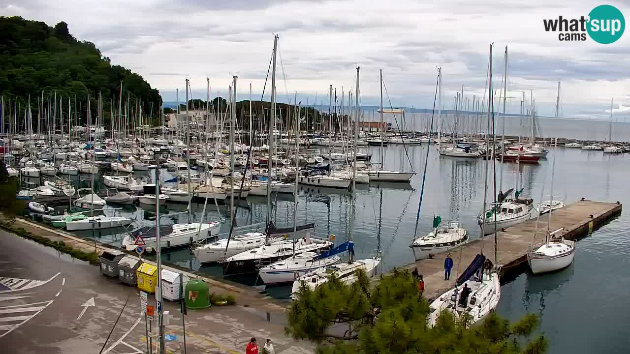 Webcam Sistiana – Pogled na marinu i zaljev