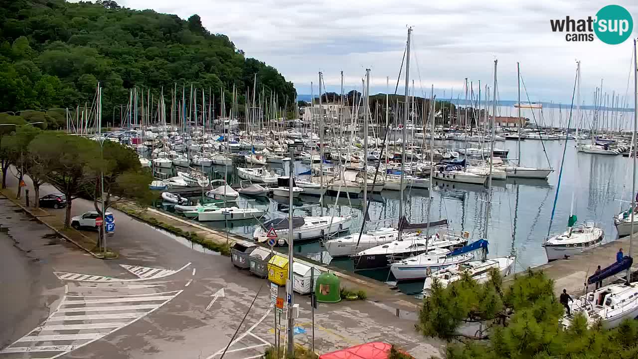 Webcam Sistiana – Marina and Bay Live View