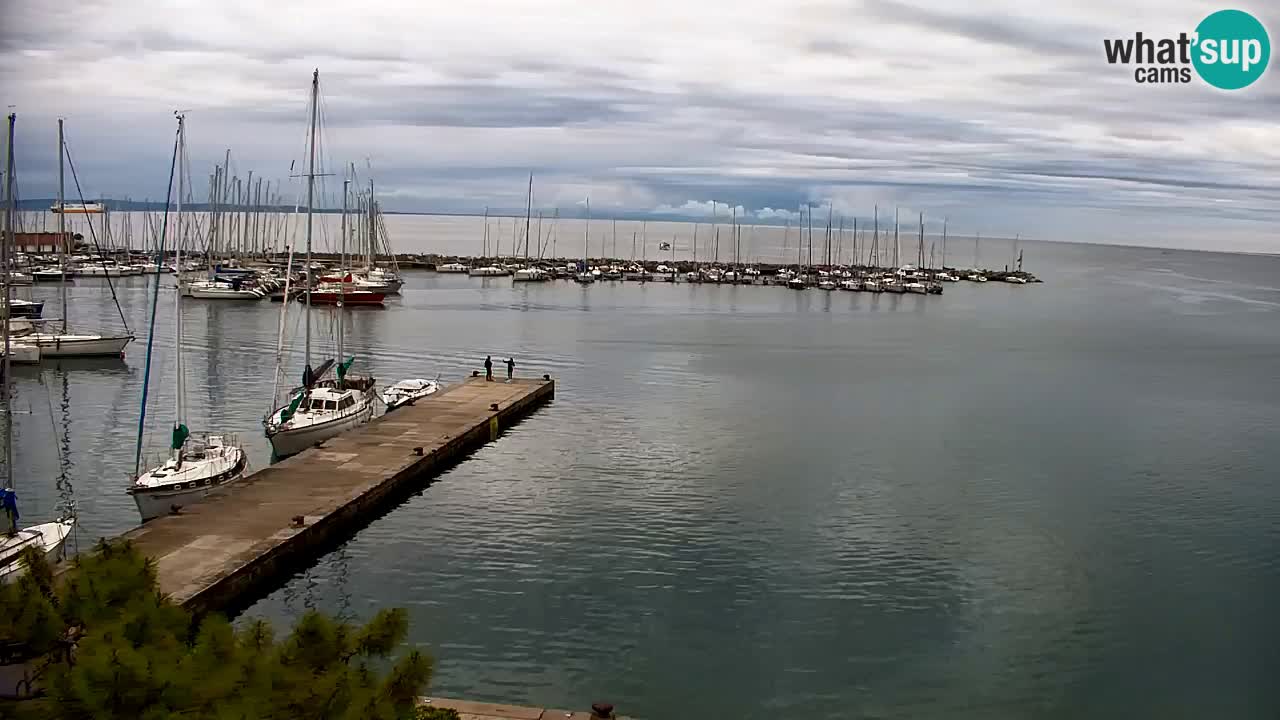 Webcam Sistiana – Marina and Bay Live View