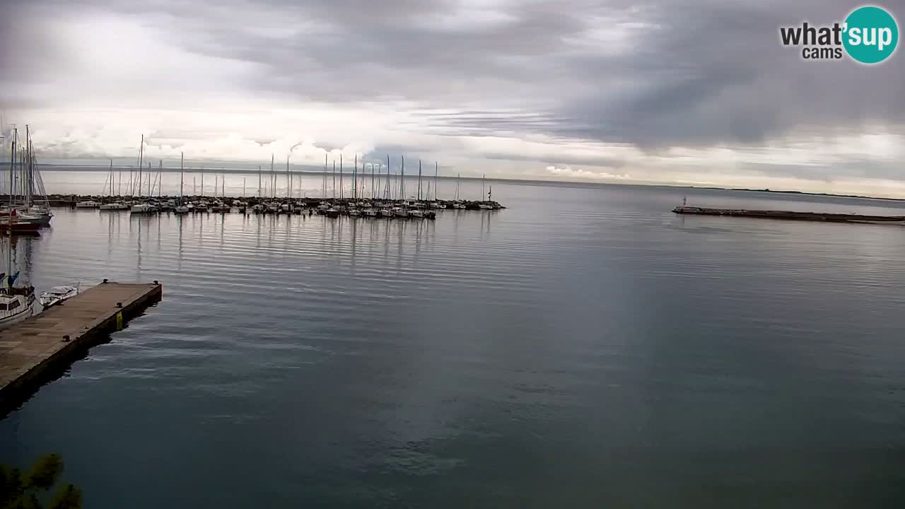 Webcam Sistiana – Vue sur la marina et la baie