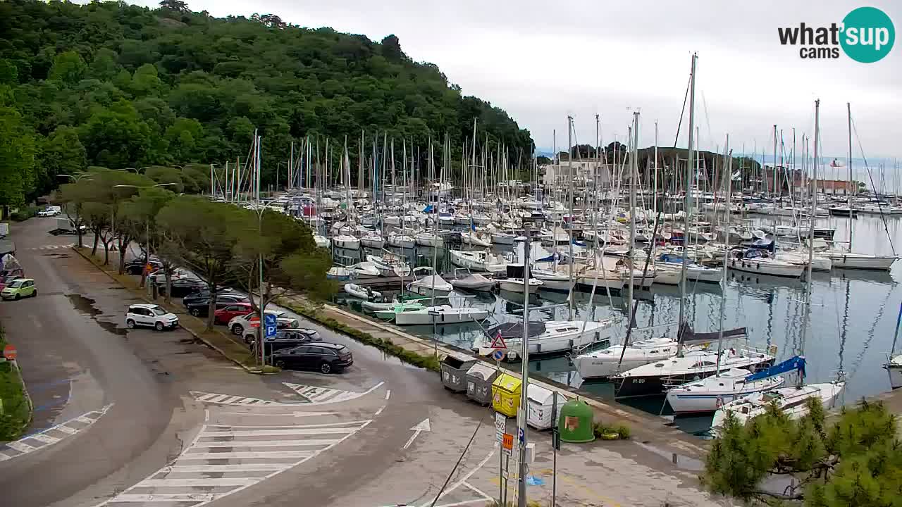 Webcam Sistiana – Pogled na marinu i zaljev