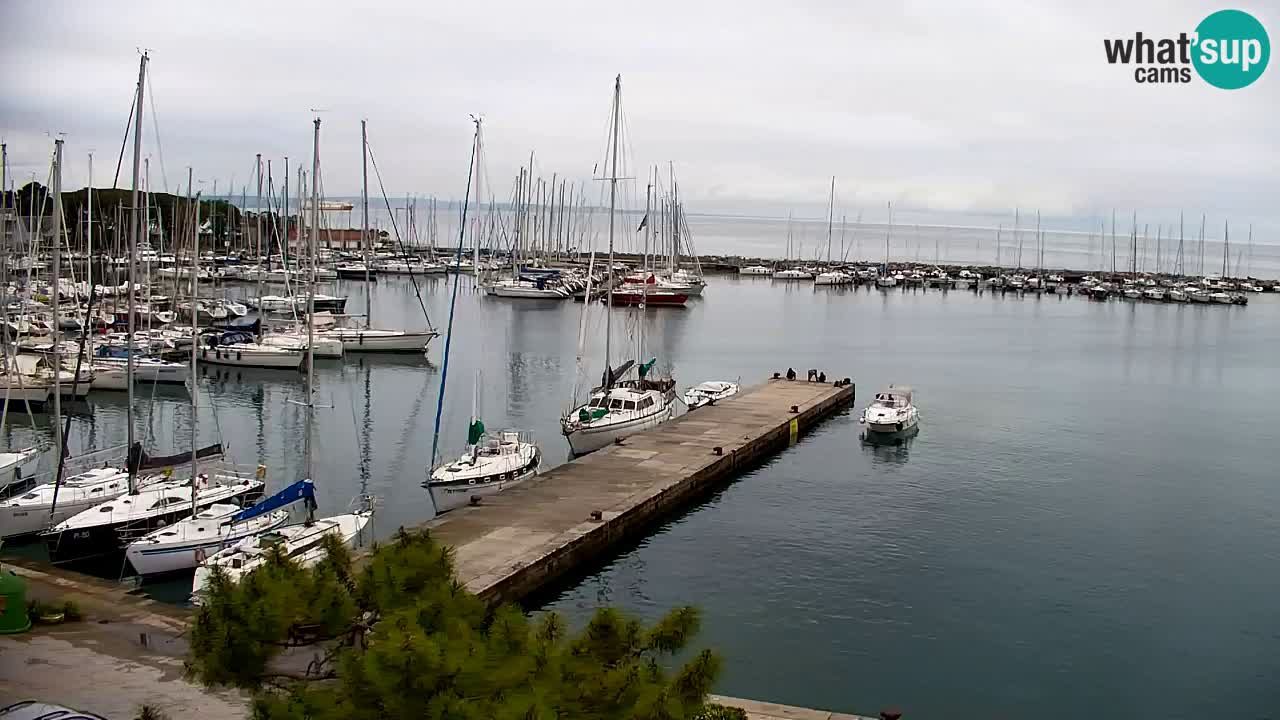 Webcam Sistiana – Blick auf Marina und Bucht