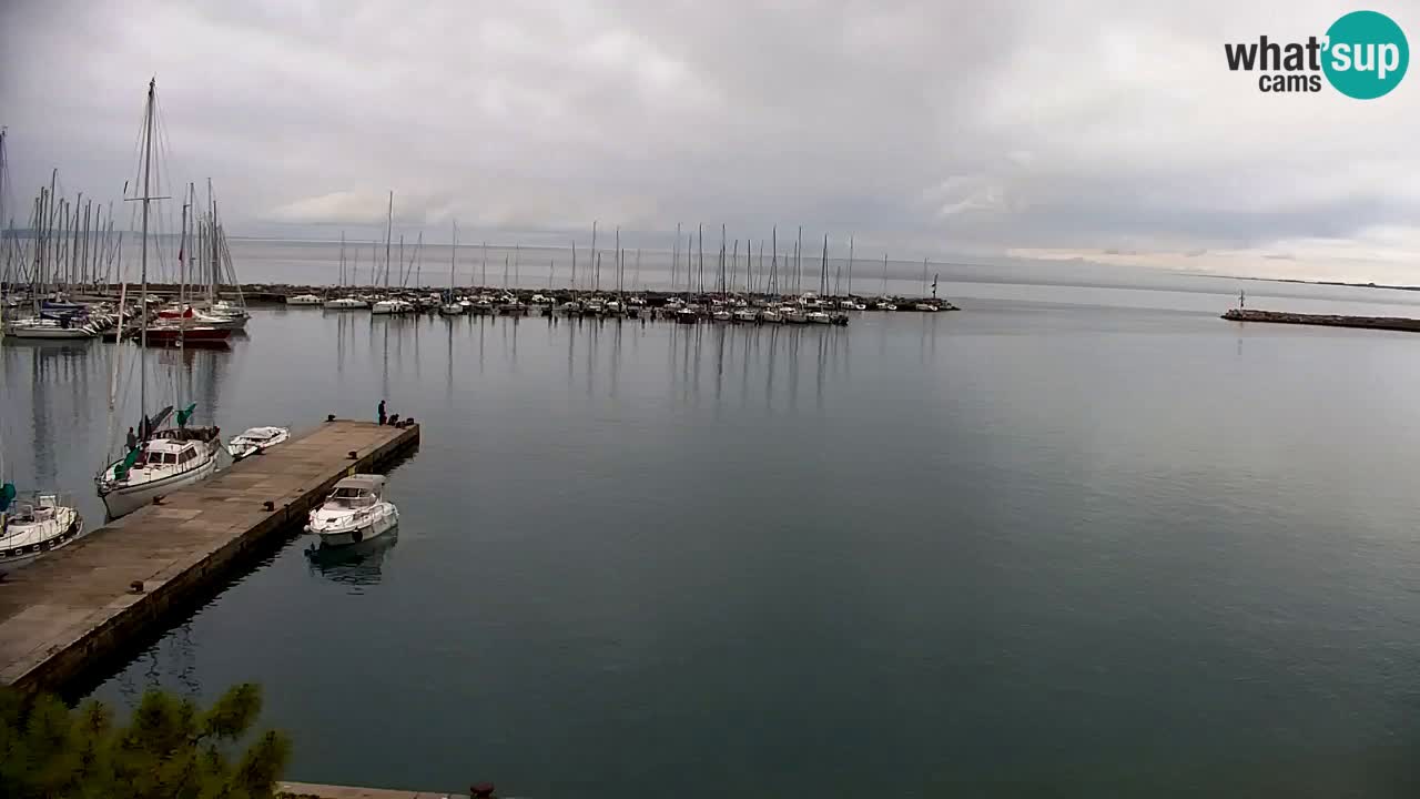 Webcam Sistiana – Vista sobre la marina y la bahía