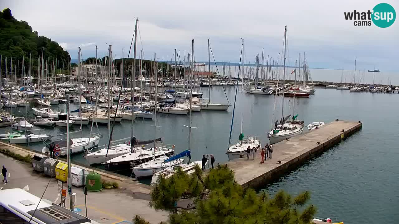 Spletna kamera Sesljan (Sistiana) – Pogled na marino in zaliv