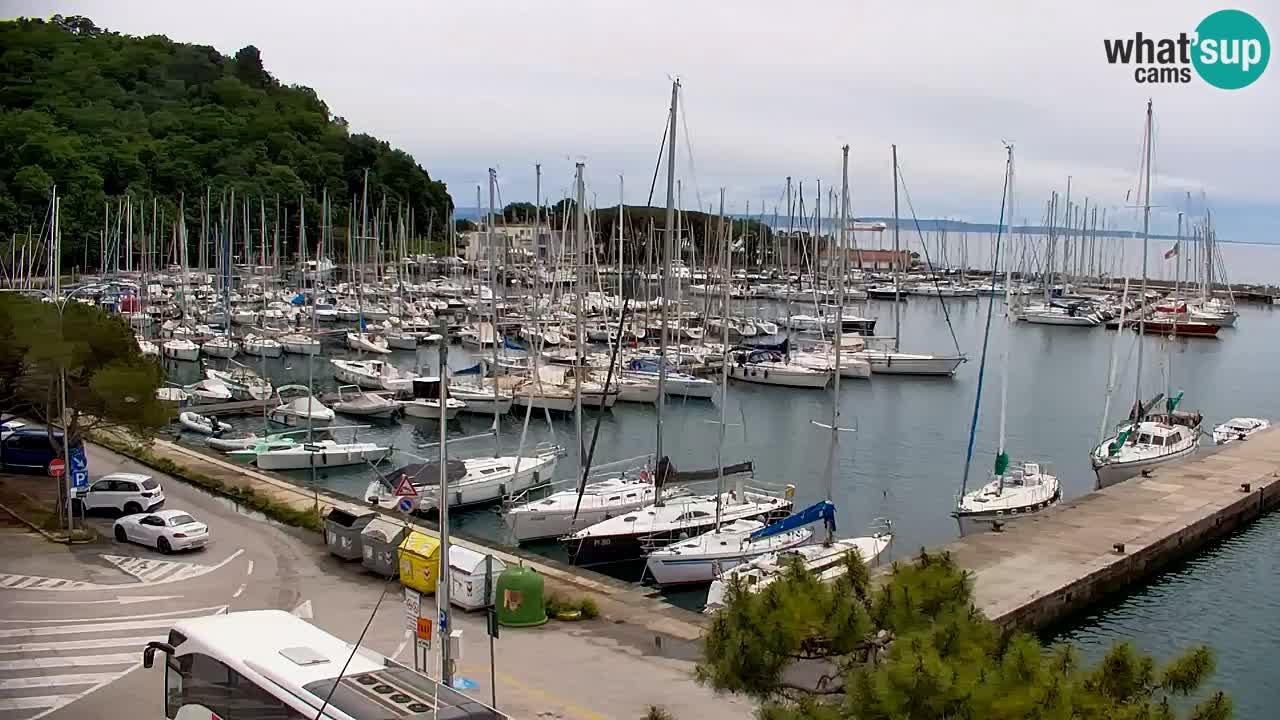 Webcam Sistiana – Pogled na marinu i zaljev