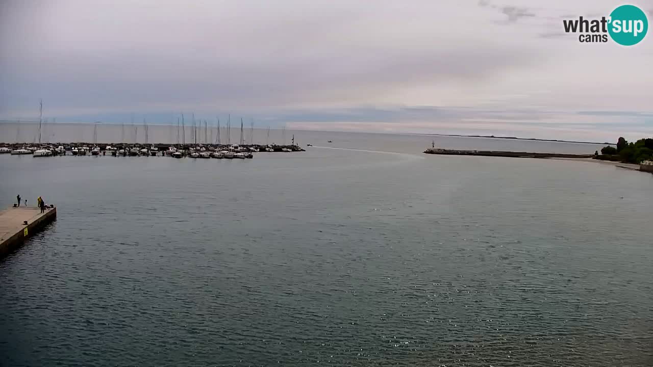 Webcam Sistiana – Marina and Bay Live View