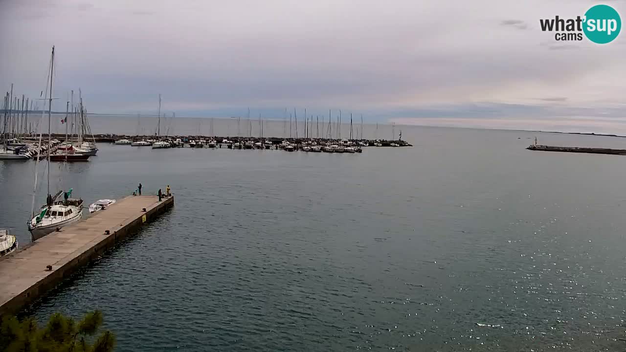 Webcam Sistiana – Vista sobre la marina y la bahía