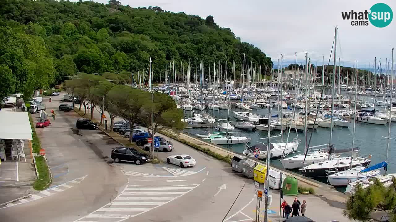 Webcam Sistiana – Pogled na marinu i zaljev