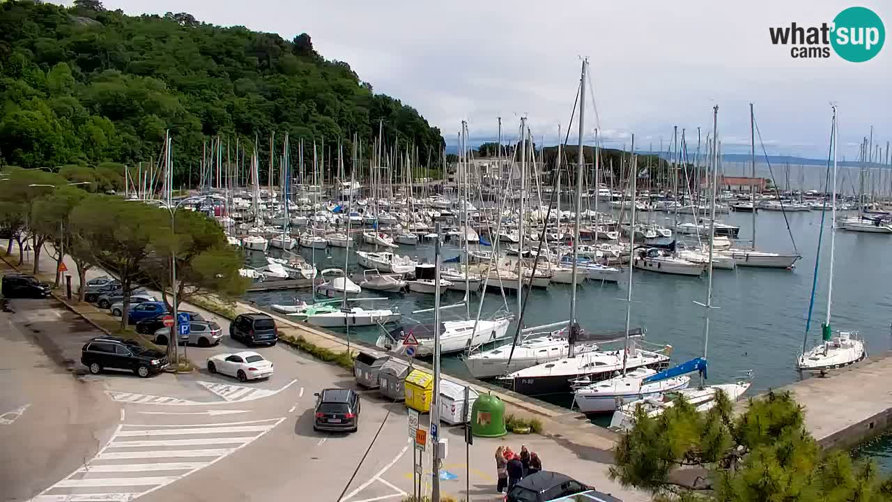 Spletna kamera Sesljan (Sistiana) – Pogled na marino in zaliv