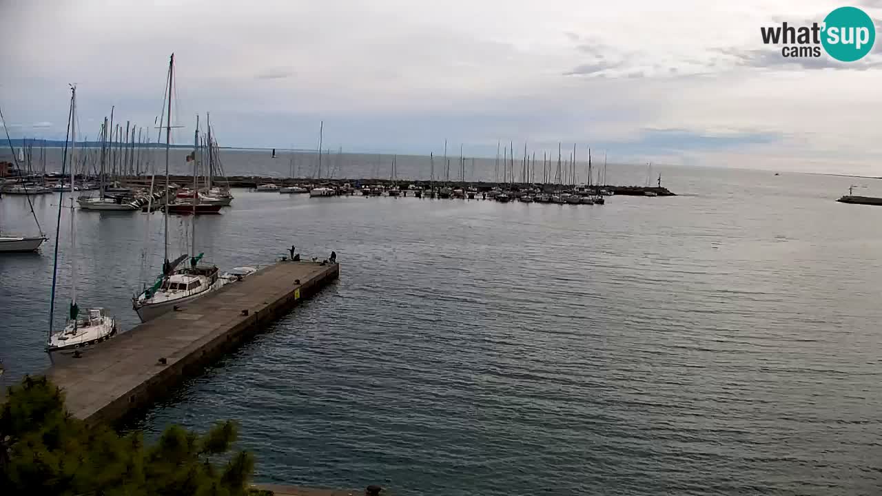 Webcam Sistiana – Vista sobre la marina y la bahía