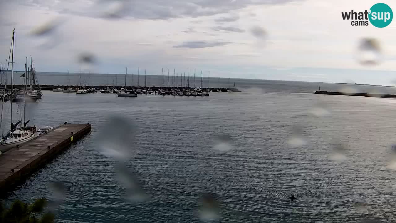 Webcam Sistiana – Pogled na marinu i zaljev