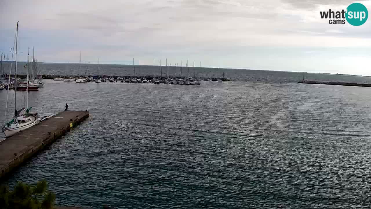 Spletna kamera Sesljan (Sistiana) – Pogled na marino in zaliv