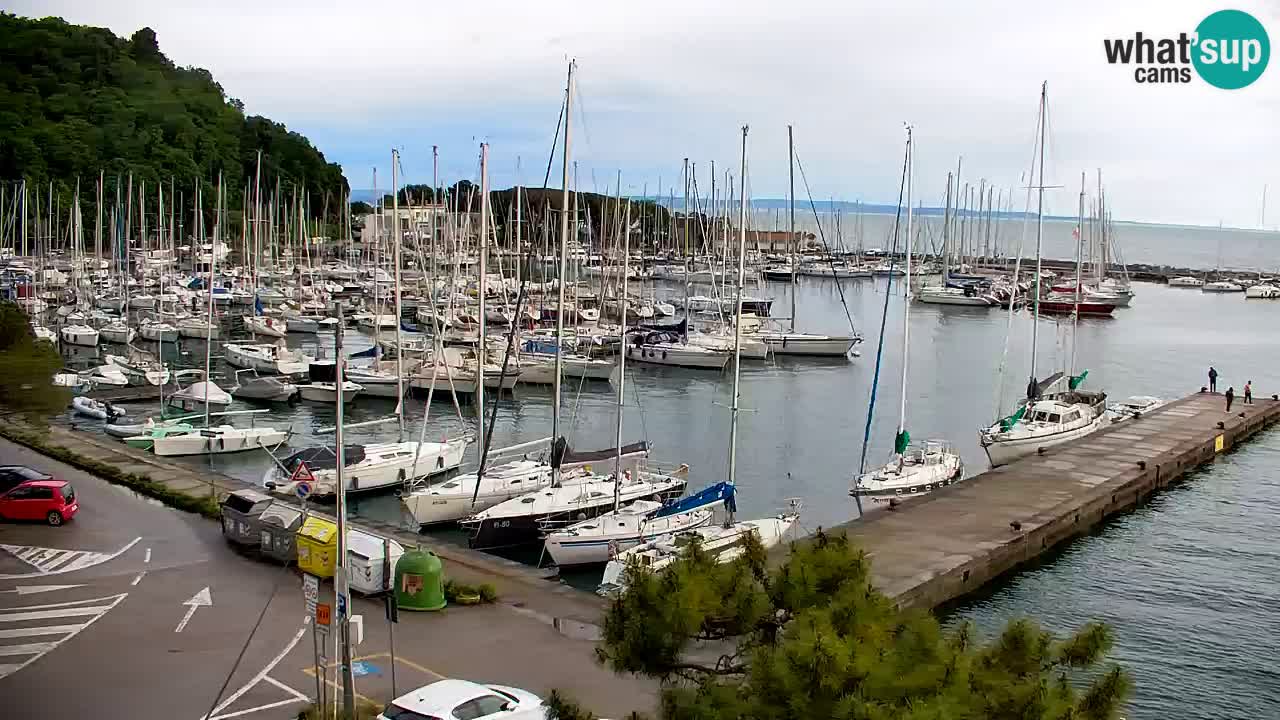 Webcam Sistiana – Marina and Bay Live View