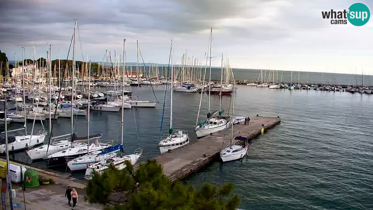 Webcam Sistiana – Pogled na marinu i zaljev